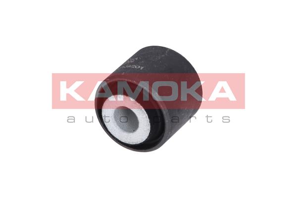 Mounting, control/trailing arm 2