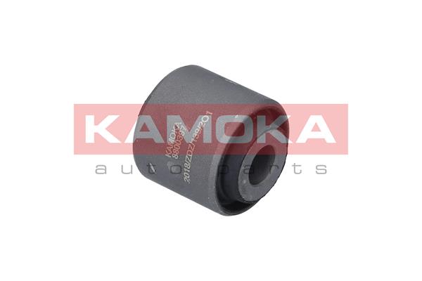 Mounting, control/trailing arm 2