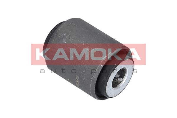Mounting, control/trailing arm 2