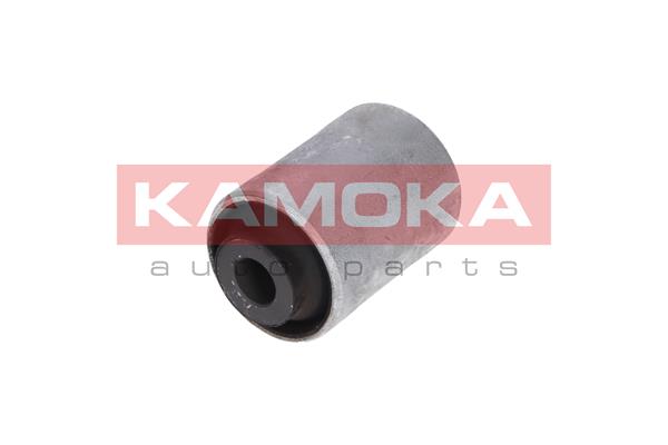Mounting, control/trailing arm 2