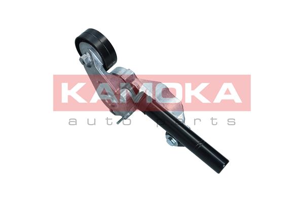 KAMOKA R0564 Tendicinghia,...