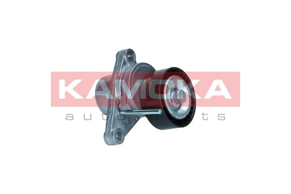 KAMOKA R0594 Tendicinghia,...