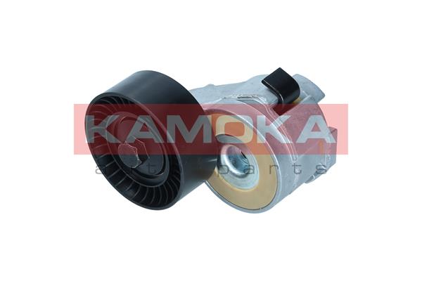 KAMOKA R0654 Tendicinghia,...