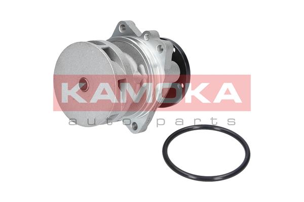 KAMOKA T0059 Wasserpumpe