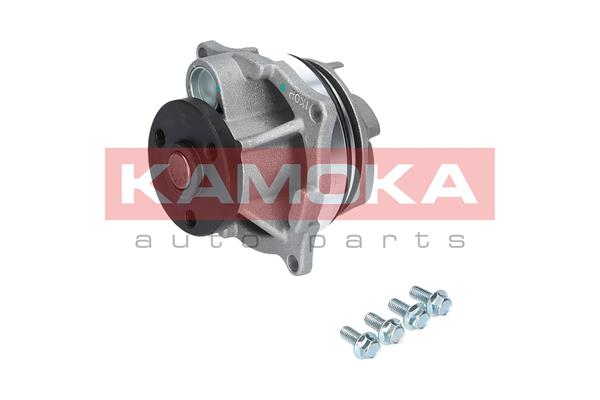 KAMOKA T0129 Wasserpumpe