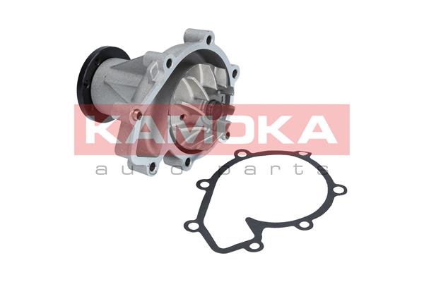 KAMOKA T0184 Wasserpumpe