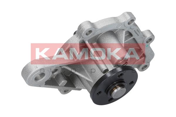 KAMOKA T0259 Wasserpumpe