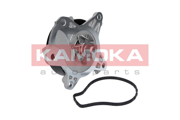 KAMOKA T0262 Wasserpumpe