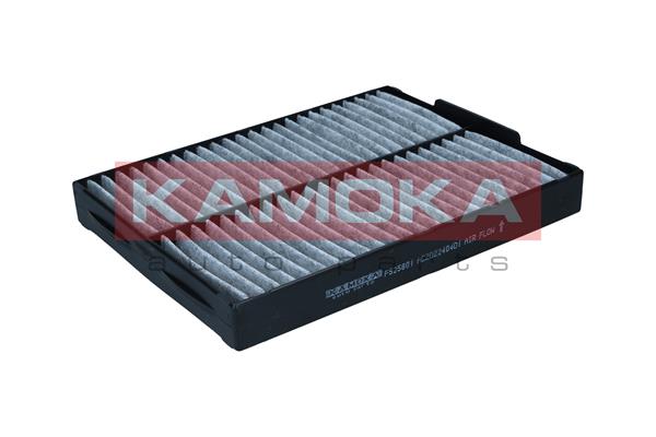 KAMOKA F525801 Filtro, Aria...