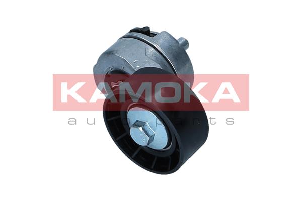 KAMOKA R0581 Tendicinghia,...