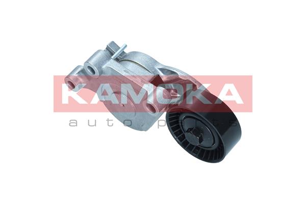 KAMOKA R0591 Tendicinghia,...