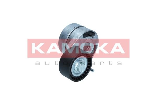 KAMOKA R0593 Tendicinghia,...