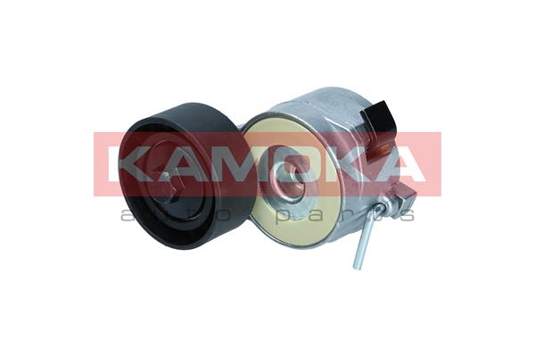 KAMOKA R0596 Tendicinghia,...