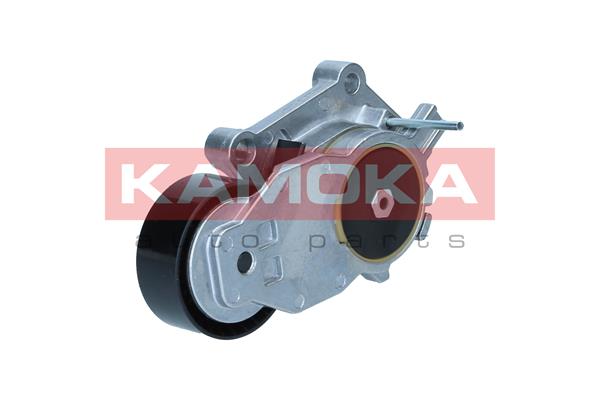 KAMOKA R0597 Tendicinghia,...