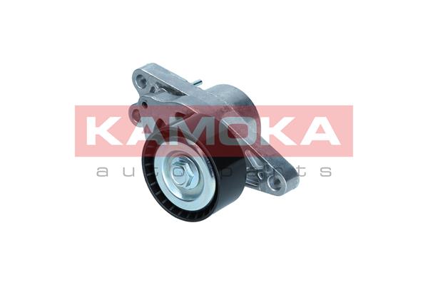 KAMOKA R0598 Tendicinghia,...