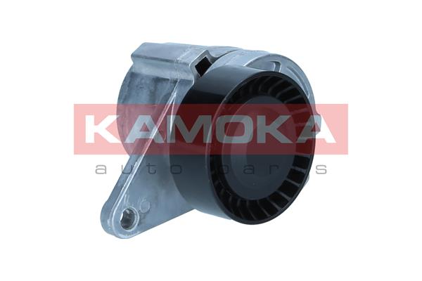 KAMOKA R0636 Tendicinghia,...