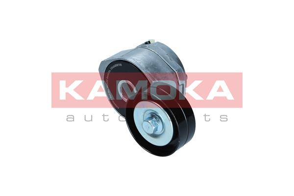 KAMOKA R0638 Tendicinghia,...