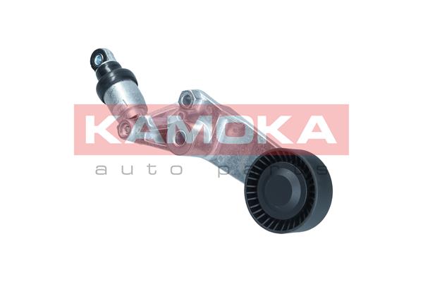 KAMOKA R0647 Tendicinghia,...