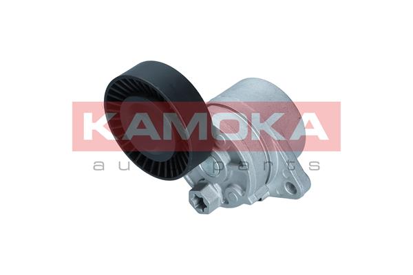 KAMOKA R0648 Tendicinghia,...