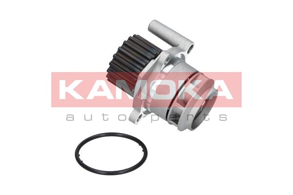Water Pump, engine cooling 2