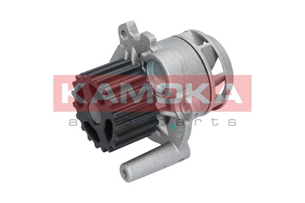 KAMOKA T0025 Water Pump,...