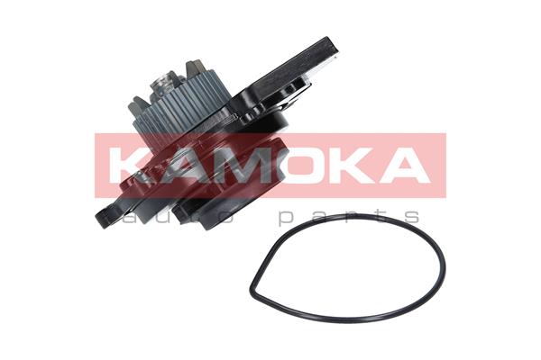 KAMOKA T0031 Water Pump,...