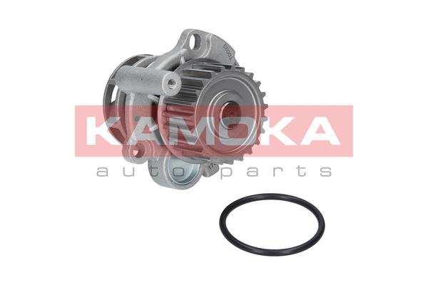 KAMOKA T0033 Water Pump,...