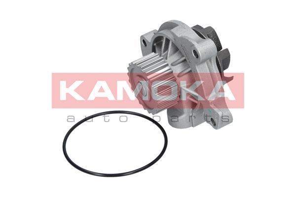 KAMOKA T0042 Water Pump,...
