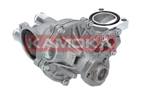 KAMOKA T0043 Water Pump,...