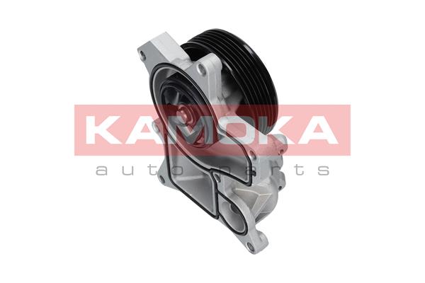 KAMOKA T0048 Water Pump,...