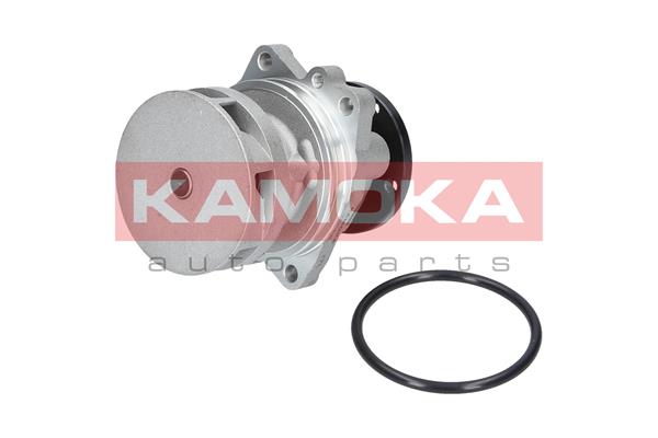 KAMOKA T0059 Water Pump,...