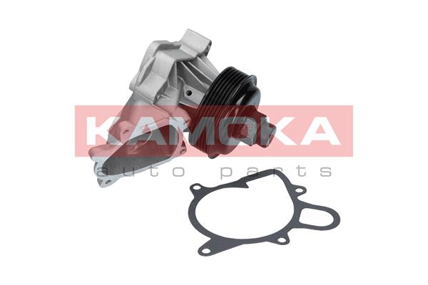 KAMOKA T0060 Water Pump,...