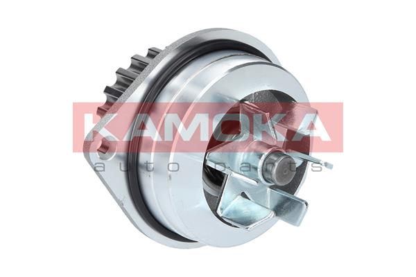 KAMOKA T0079 Water Pump,...