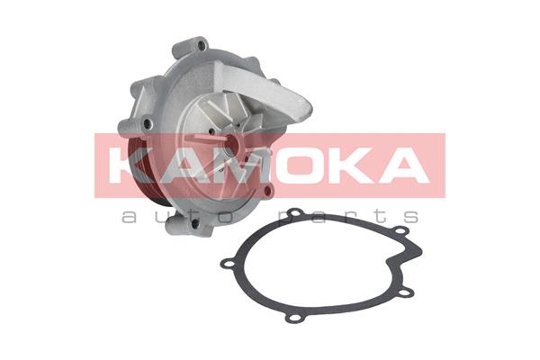 KAMOKA T0100 Water Pump,...