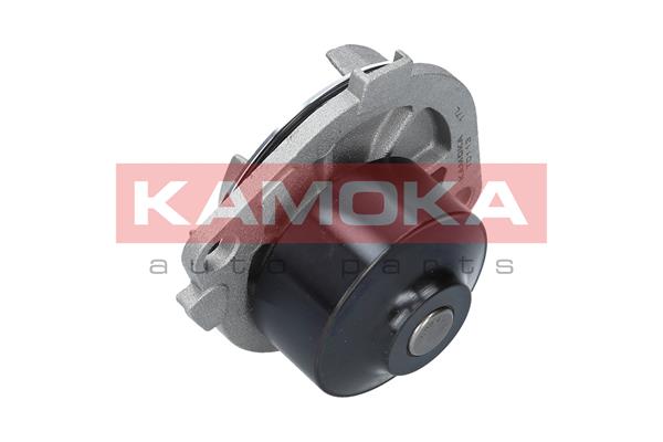 KAMOKA T0113 Water Pump,...