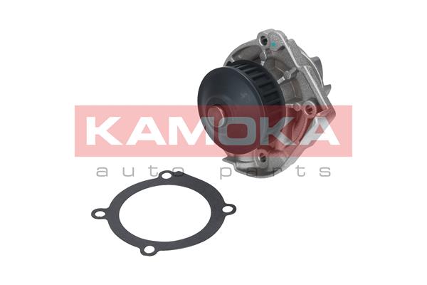 KAMOKA T0118 Water Pump,...