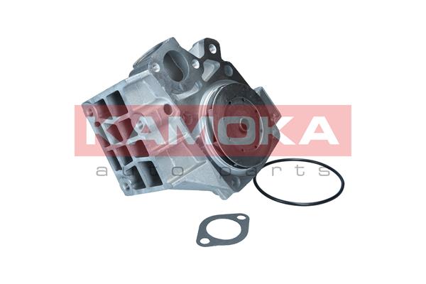 KAMOKA T0120 Water Pump,...