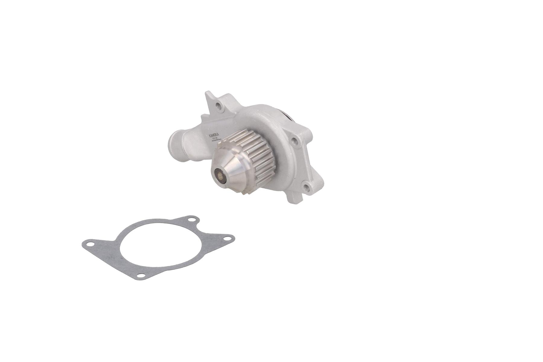 KAMOKA T0130 Water Pump,...