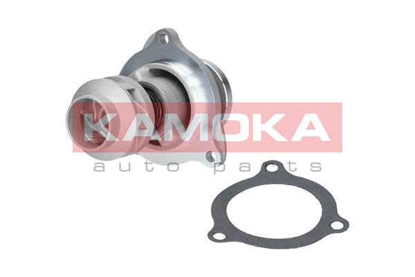 KAMOKA T0135 Water Pump,...