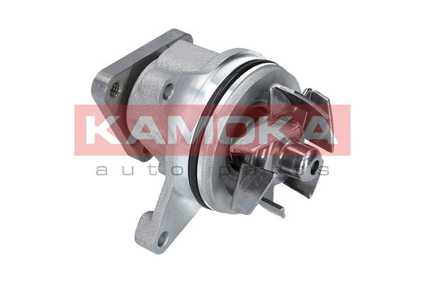 KAMOKA T0136 Water Pump,...