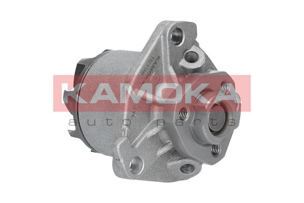 KAMOKA T0138 Water Pump,...