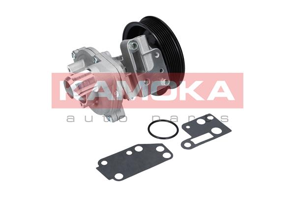 KAMOKA T0142 Water Pump,...