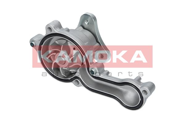 KAMOKA T0150 Water Pump,...