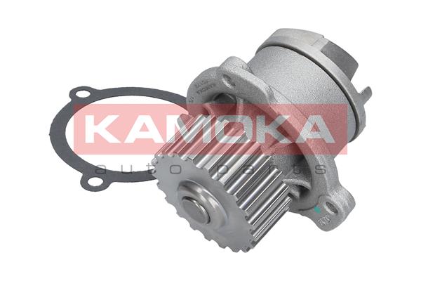 KAMOKA T0172 Water Pump,...