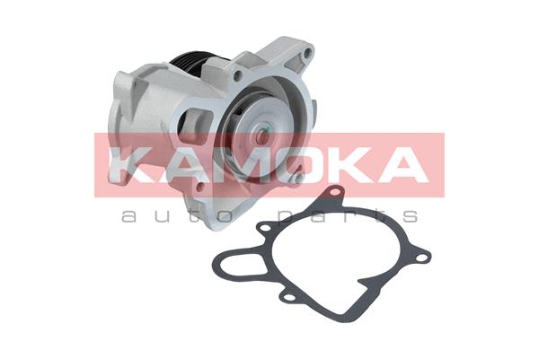 KAMOKA T0173 Water Pump,...