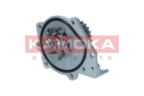 KAMOKA T0174 Water Pump,...
