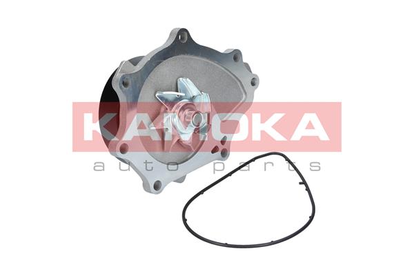 KAMOKA T0176 Water Pump,...