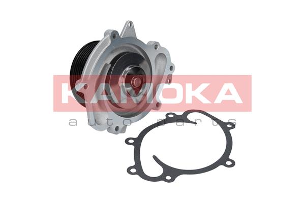 KAMOKA T0191 Water Pump,...