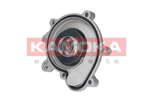 KAMOKA T0194 Water Pump,...