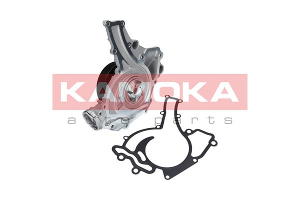 KAMOKA T0195 Water Pump,...